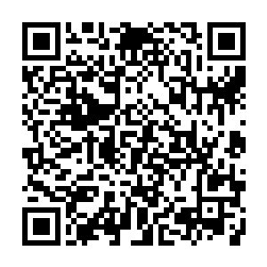 他们也未将血脉的掌控和威力发挥到相当于真正下品下等圣品血脉的层次二维码生成