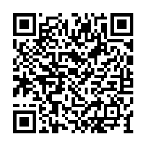 他们也知道这只是因为他们的实力没有达到罢了二维码生成