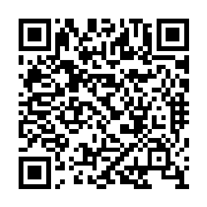 他们也绝对不会舍得五行吾素就这么沉沦下去的二维码生成