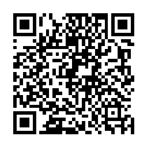 他们也能清楚地感受到从杨开那边涌出来的狂暴的神念波动二维码生成
