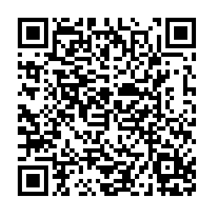 他们也自以为的认为是十大守护家族已经从剑尘的手中拿到了天翼神虎二维码生成