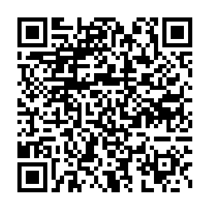 他们也觉得生还的可能姓相当高的……可这才刚刚走进这一座地宫二维码生成