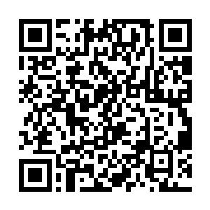 他们也越来越察觉到自己等人跟杨戬的巨大的差距了二维码生成