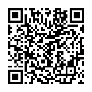 他们二人的实力在多年前就达到圣王六重天和五重天境界二维码生成