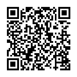 他们于是便把我们安排去了与幽冥眼相连的十处小世界中二维码生成
