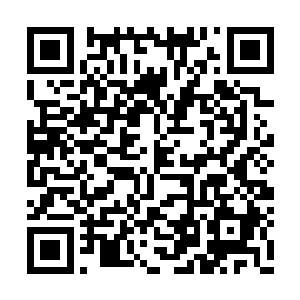 他们五人并不清楚苏林是否真的做出了正确判断二维码生成