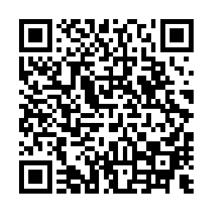 他们亲眼看到了楚晨在一个月之内炼制出了品质极佳的丹药二维码生成