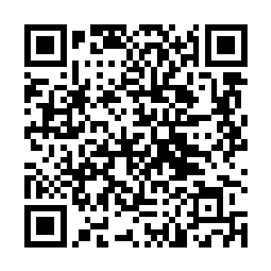 他们从来没见过这位大人露出这样足以颠倒众生的笑容二维码生成