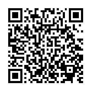 他们仿佛已经看到了沧浪城和南林城的人马杀向了自己的家族二维码生成