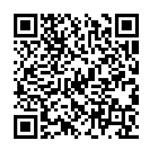 他们会提出什么样剧本上没有的刁钻古怪的问题呢二维码生成