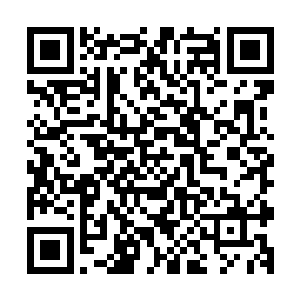 他们低两个辈分……实力却已经跻身于他们这些绝世强者之列二维码生成