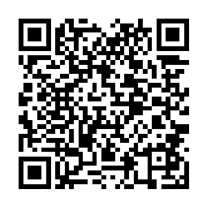 他们便是觉得今天的拉敏和前几天的拉敏有些不同二维码生成