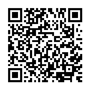 他们倒是没有想到达尔部落请来的两名强者竟然敢和邪王做对二维码生成