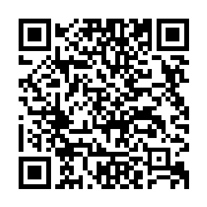 他们做的事确实是在帮着敌对势力蚕食政fǔ在老百姓心中的信用二维码生成