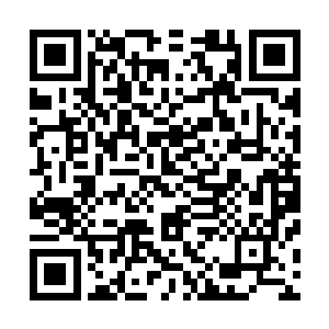 他们兄弟中哪一个寻到这样的事情徐清柏也还是会扑上去的二维码生成