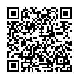 他们全都对那个并没有任何武功的大小姐心生敬畏二维码生成