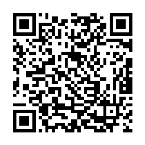 他们再大的力气也扛不住巨兽撞断树干砸过来的一击二维码生成