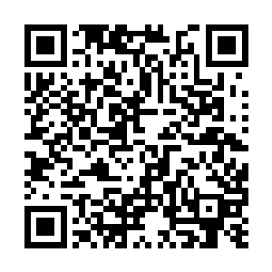 他们刚才得到的那么一点好处简直可以忽略不计了二维码生成