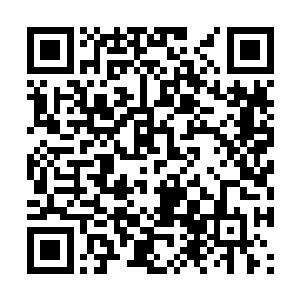 他们刚才还认为夏天肯定会死在巨蟒的这一下上了二维码生成