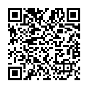 他们去找风九营救七公主的消息绝对不可能被传出去的二维码生成
