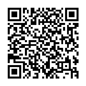 他们只怕就要真正的面对那已经多年不问世事的世间第一妖了二维码生成