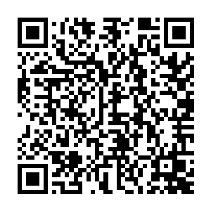 他们可不像你们平时在副本里遇到的那些普通的觉醒者团队那么孱弱二维码生成