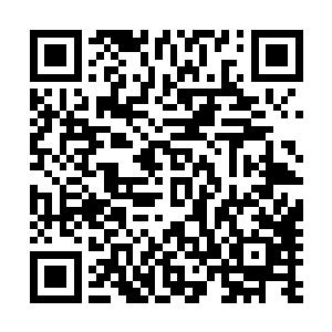 他们可以在完成自己任务后到修真坊市去做自己喜欢的事情二维码生成