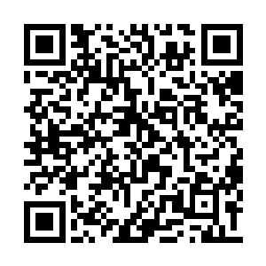 他们告诉我两条路都已经找到了可以行动的地方二维码生成
