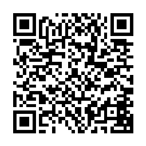 他们和另外五个没有九品坐镇的军团都无比羡慕青阳玄冥等军团二维码生成