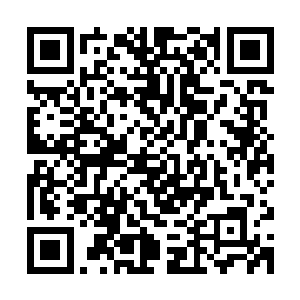他们唯一在乎的只是这个组织还能够为他们带来多少巨额的财富二维码生成