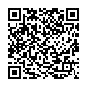 他们唯一能做的就是给生病的余靖裹上厚厚的蚕丝被二维码生成