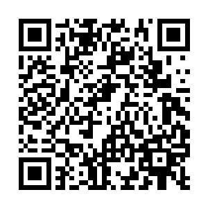 他们商量的是如果天尊真的陨落了那他们该怎么办二维码生成
