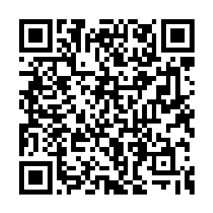 他们在与武魂一脉以及雨上人的一战中受伤不轻二维码生成