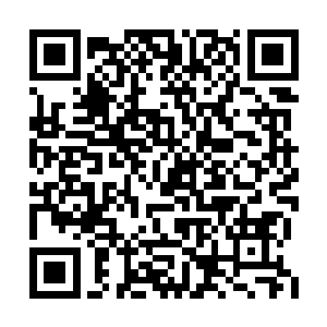 他们在无时无刻的向别人展现自己最美丽的一面二维码生成