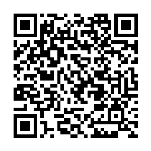 他们如果在大圈仔刚出现在温哥华的时候就认真打击二维码生成