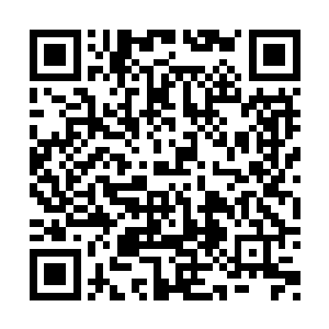他们宁愿多接几个普通任务也不愿意接遗迹任务二维码生成