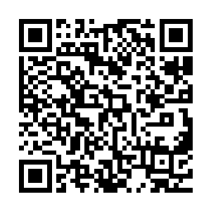 他们完全忘记长在皇家的皇子争权夺利是印刻在血液中的本能二维码生成
