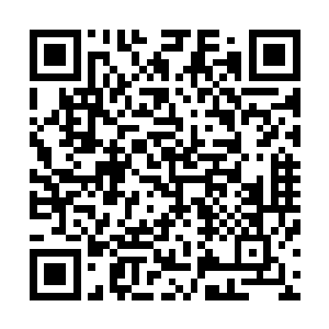 他们实在是想不通龙傲天到底有什么值得东方世家如此袒护二维码生成