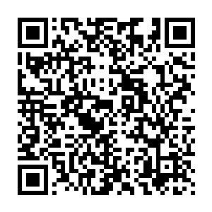 他们对外公布的结果肯定会是那个……这事关他们所有人的政绩和前途二维码生成