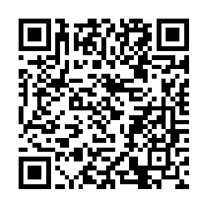 他们对我们发起攻击的话我们会处在非常不利的境地二维码生成