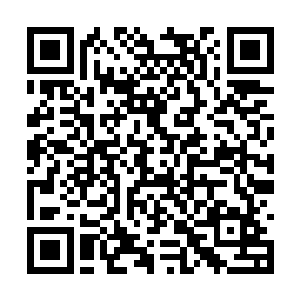 他们就在他们最脆弱最疲惫的时候将他们击杀剿灭二维码生成