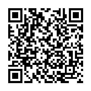 他们就查到了叶尊几个时辰前才刚刚穿过一个小镇二维码生成