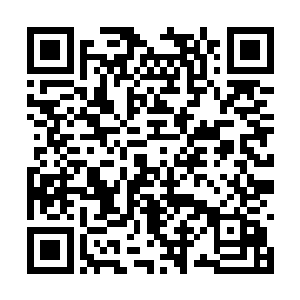 他们就算赢了神凰岛其他凝脉弟子也没有任何意义二维码生成