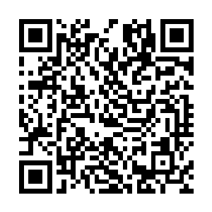 他们已经不记得上一次震宇天神使用域界是什么时候了二维码生成