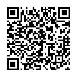 他们已经很久都没有感受到天一师伯露出如此强烈的怒意了二维码生成