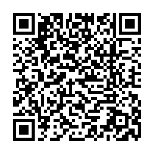 他们已经记不清这到底是多少次听到这个犹如末日降临一般的系统提示了二维码生成