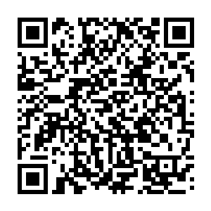 他们希望我能回小学做一个演讲――这世上再也没有人会用老眼光看我了二维码生成