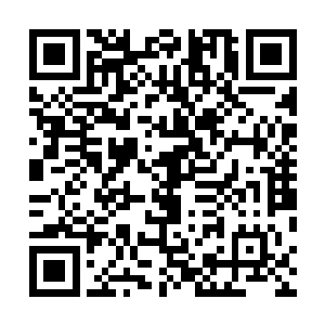 他们当然不会将两个打扮的像农民工一样的家伙放在眼里二维码生成