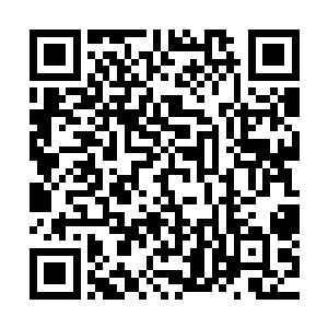 他们当然知道这几个羽部落的人不敢做出什么得罪炎角的事情二维码生成