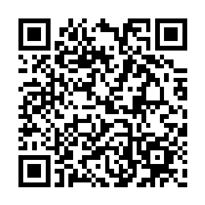 他们怀疑是那神秘的寻龙会但是没有确切的证据二维码生成